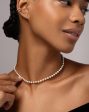 Pearl Station Choker on Sale